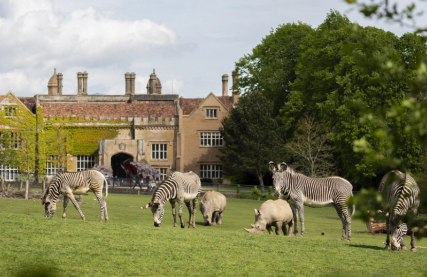 Marwell Zoo